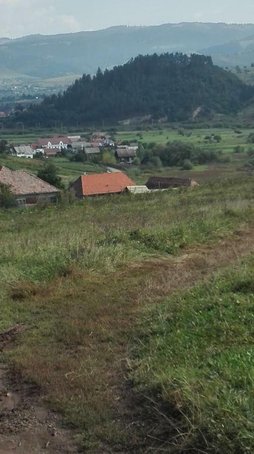 Casa traditionala Subcetate Subcetate  Luaran gambar
